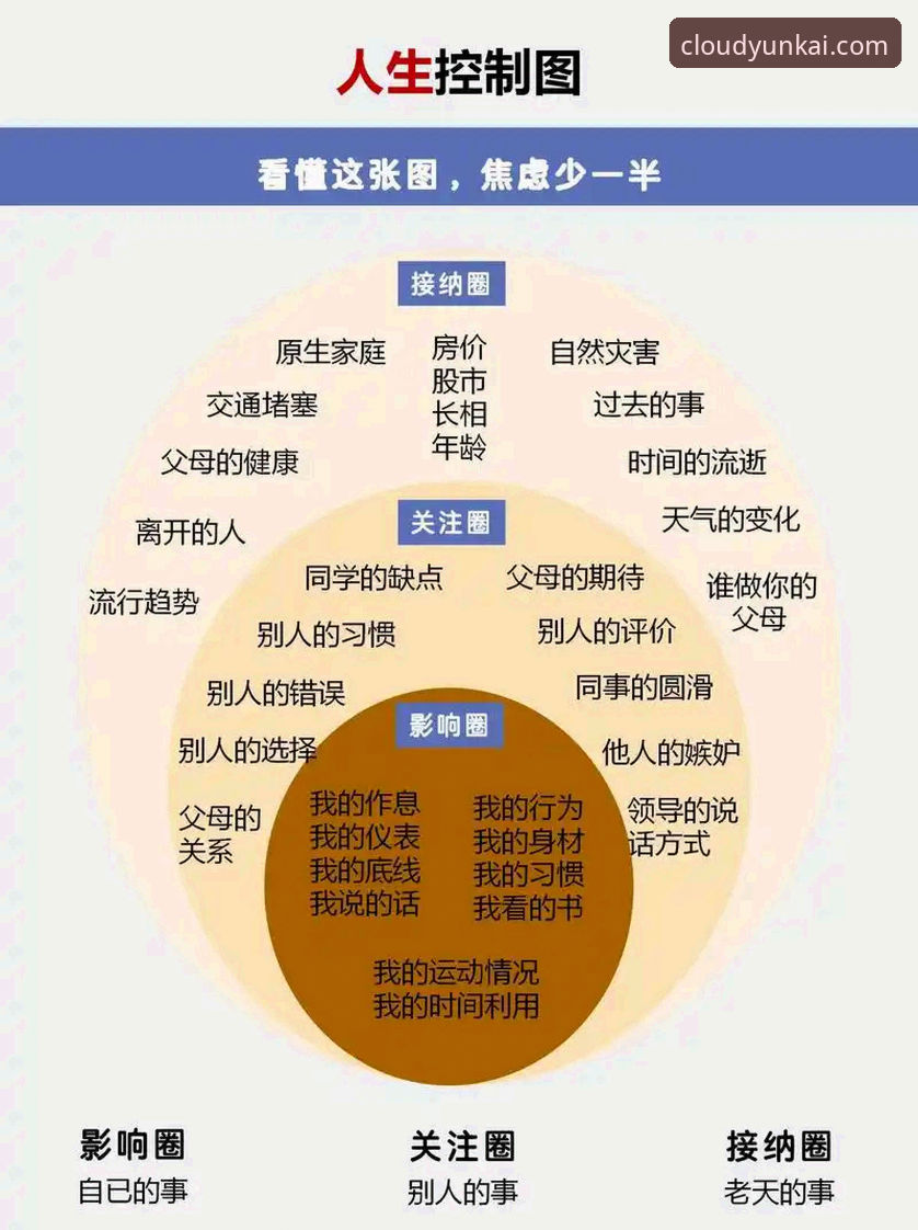 云开体育平台新手使用指南：从下载安装到高效玩法的完整教程